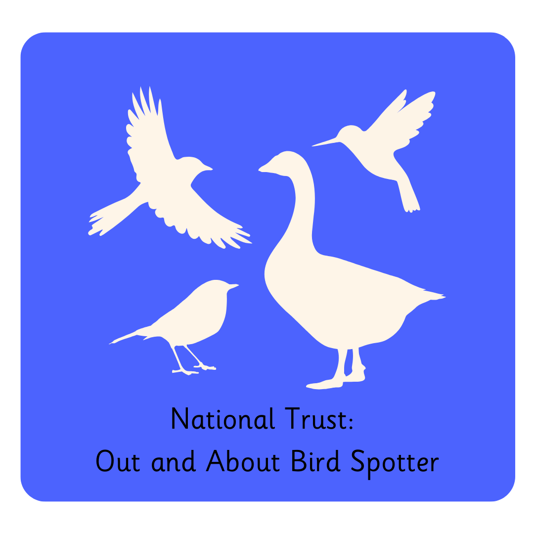 Y2 National Trust  Out and About Bird Spotter.png