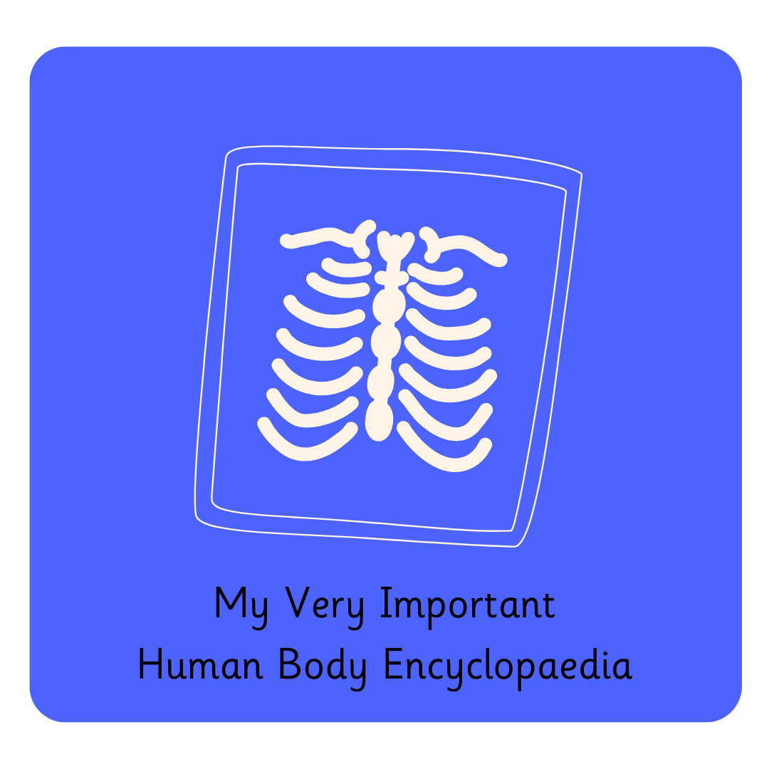 Y3 My Very Important Human Body Encyclopedia (1).png