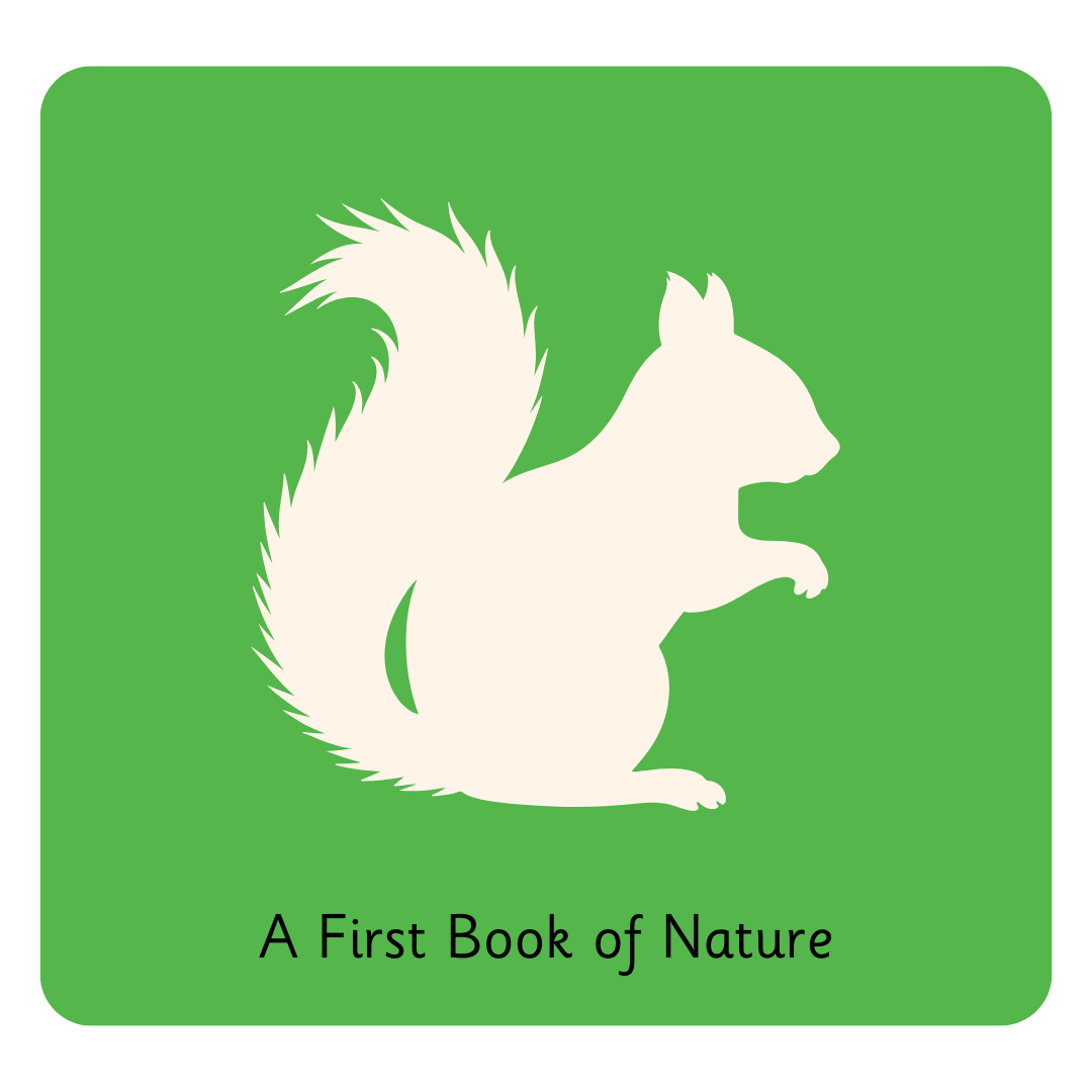 Y2 A First Book of Nature.png