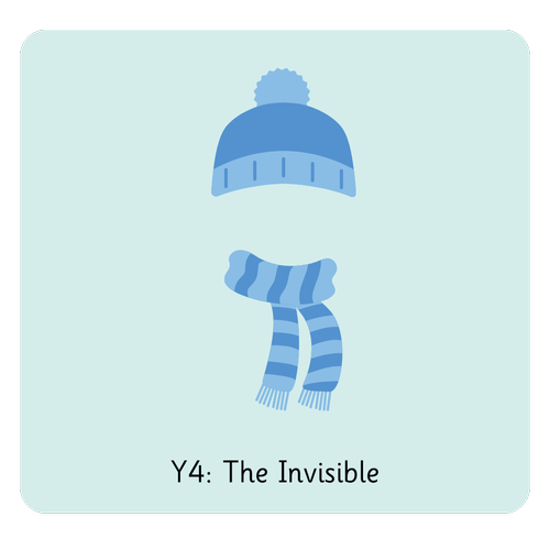 Y Invisable The Invisible — Literacy Counts