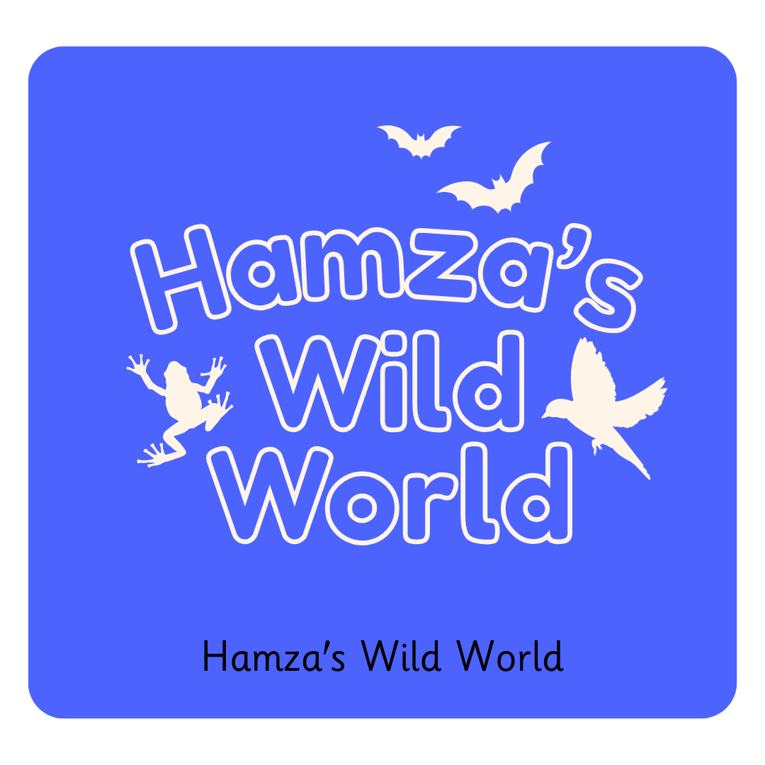 Y3 Hamza's Wild World (1).png