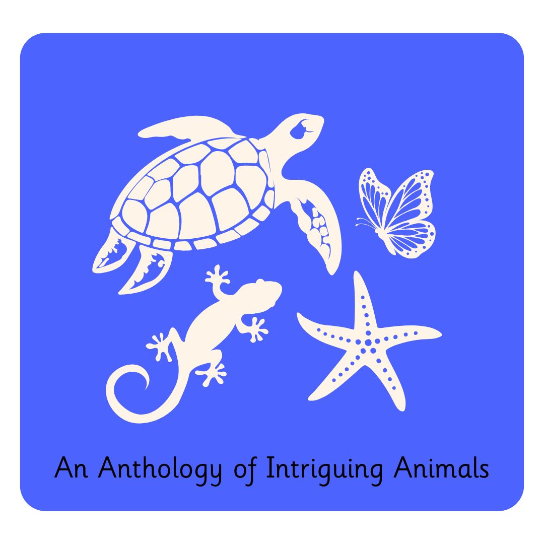 Intriguing RSRT Y3 An Anthology of Intriguing Animals — Literacy Counts