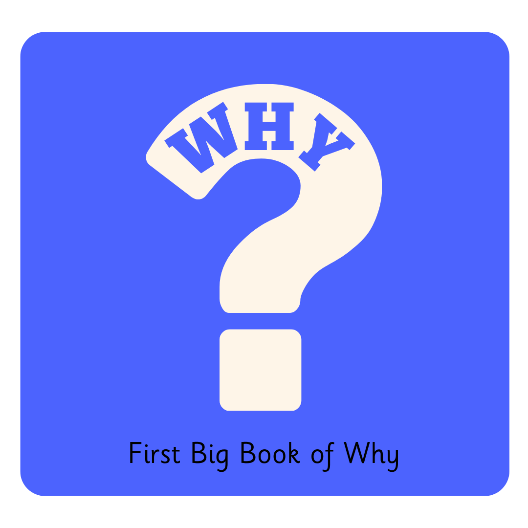 Y2 First Big Book of Why.png
