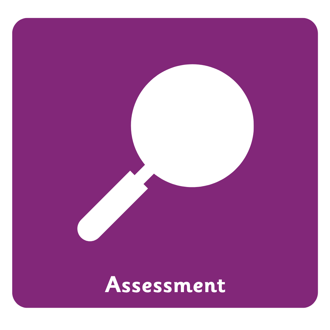 Assessment.png