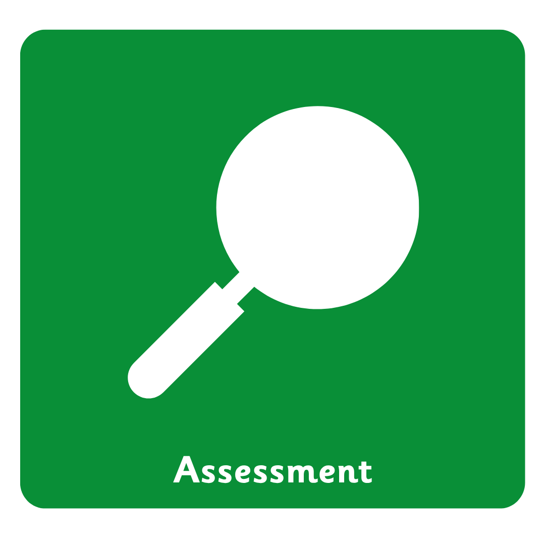 Assessment (1).png
