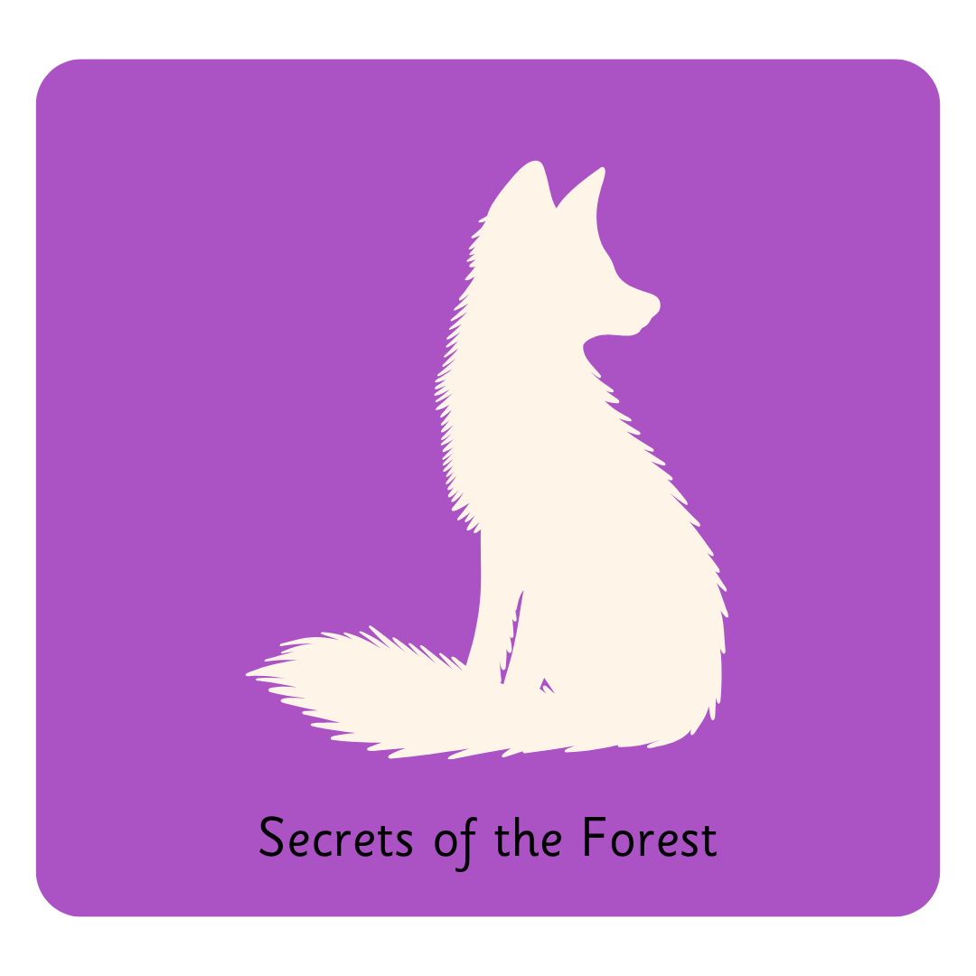Y2 Secrets of the Forest (1).png