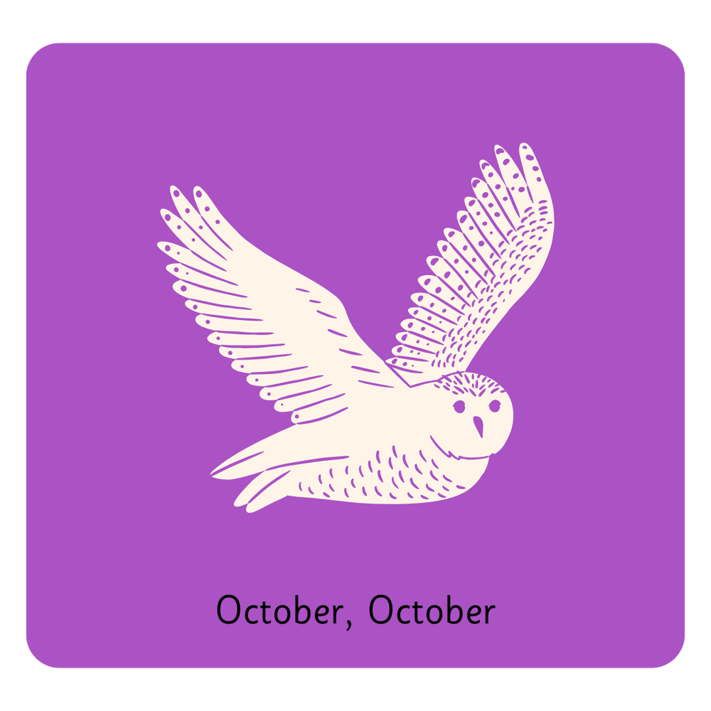 RSRT Y5 October, October — Literacy Counts