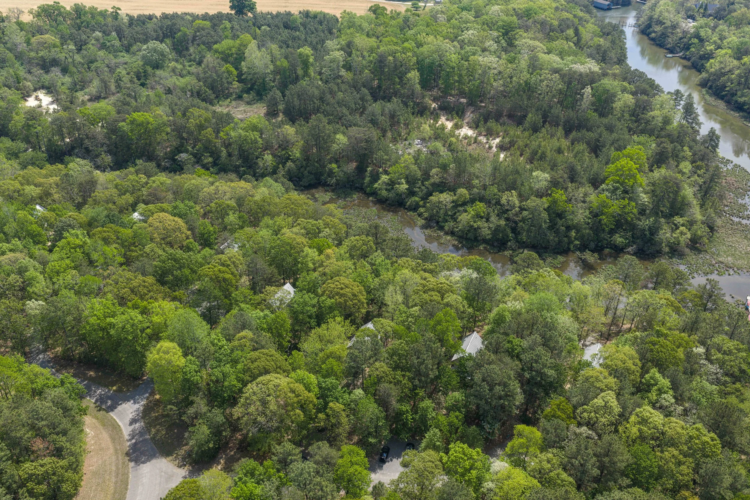 Spring Drone-2-small.jpeg