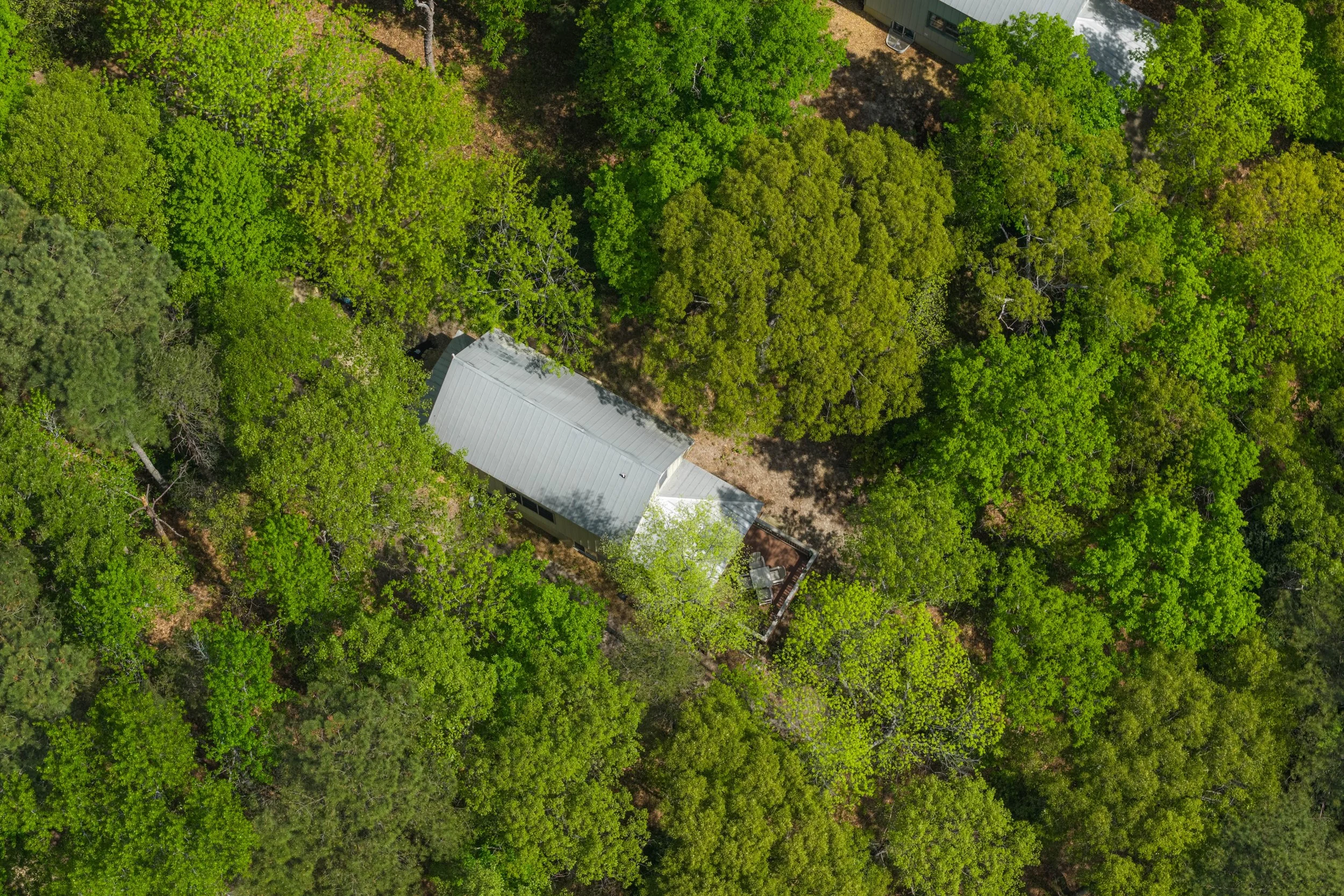 Spring Drone-5-small.jpeg