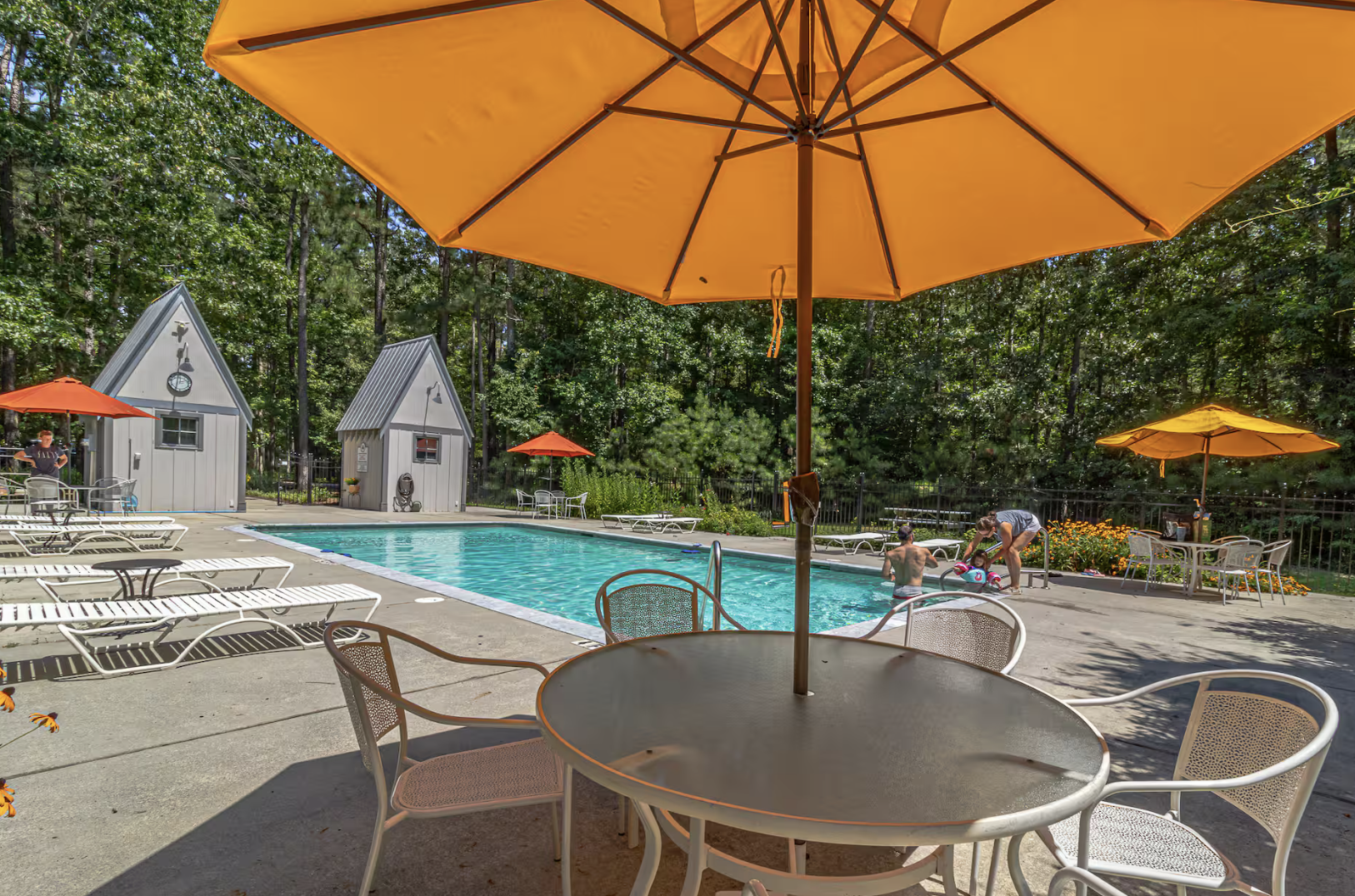 Vineyard Grove pool with shaded seating and sun loungers, surrounded by forest and gardens.