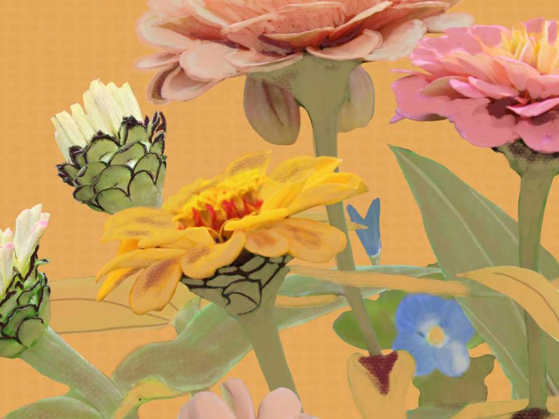 Welcome to the Surface &amp; Story Journal: Notes on Pattern, Nature &amp; the Creatively Human