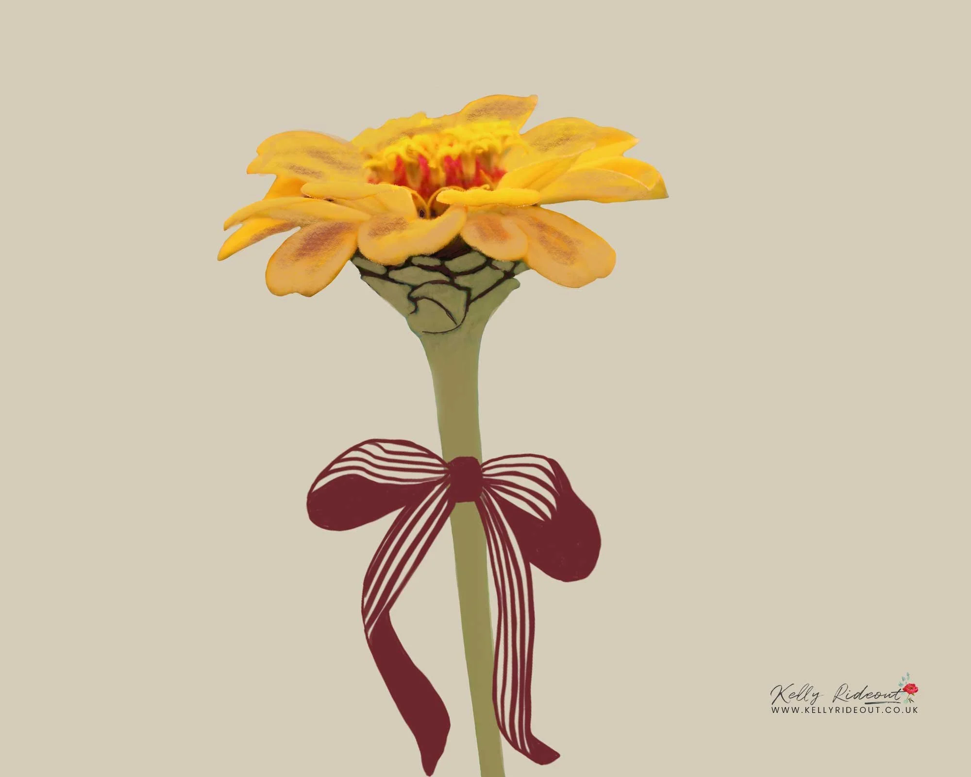 Zinnia Botanical Study: From Sketchbook to Art Licensing Collection
