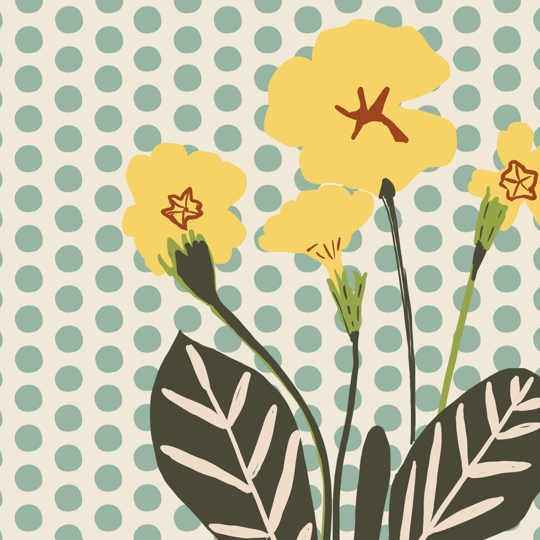 Hand drawn illustration of a yellow primrose by UK Surface Pattern designer  Kelly Rideout Stylised illustration of yellow flowers with brown centers, surrounded by green and beige leaves, on a backdrop of light blue polka dots on a cream background.