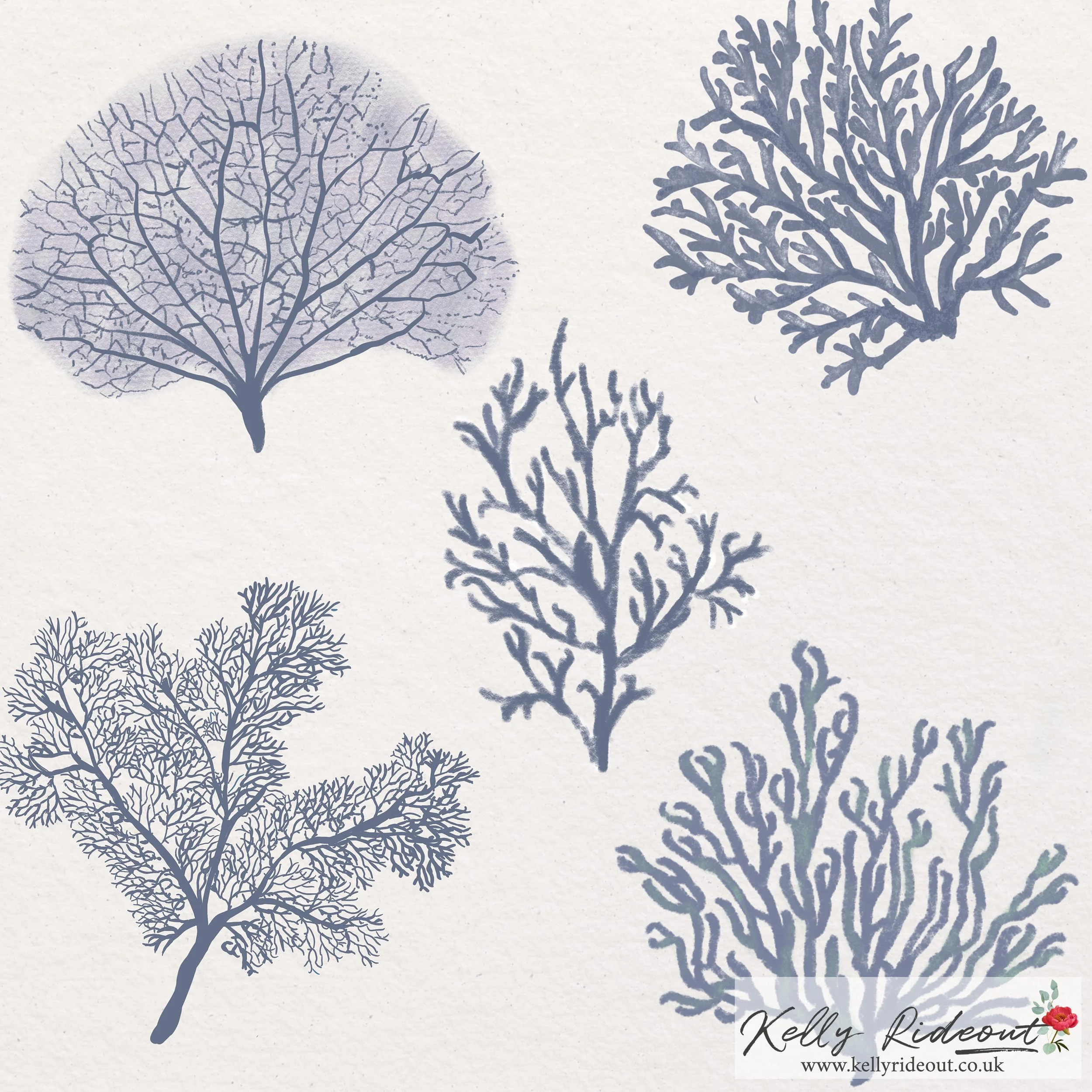 Kelly Rideout Logo - social media 2024 (1) 2.jpg