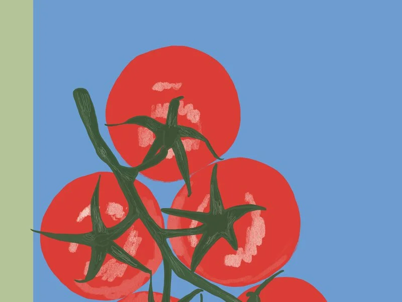 Tomatoes Vine Hand Drawn Illustration Mug Gardener Gift