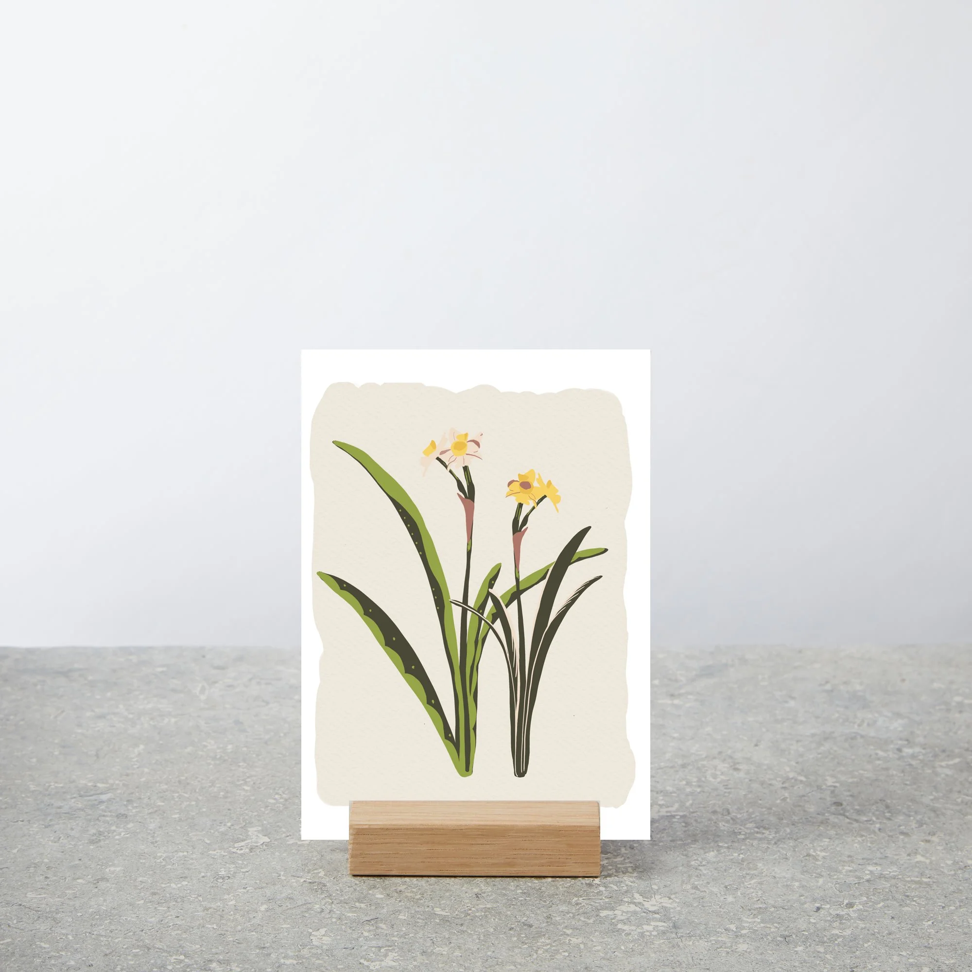Daffodil Small picture stand blank face-on copy.jpg