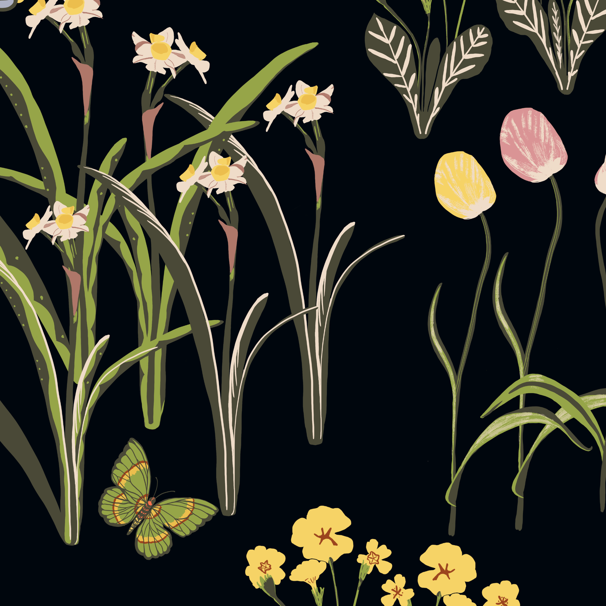 Awakening-Spring-Black-CL-web.png