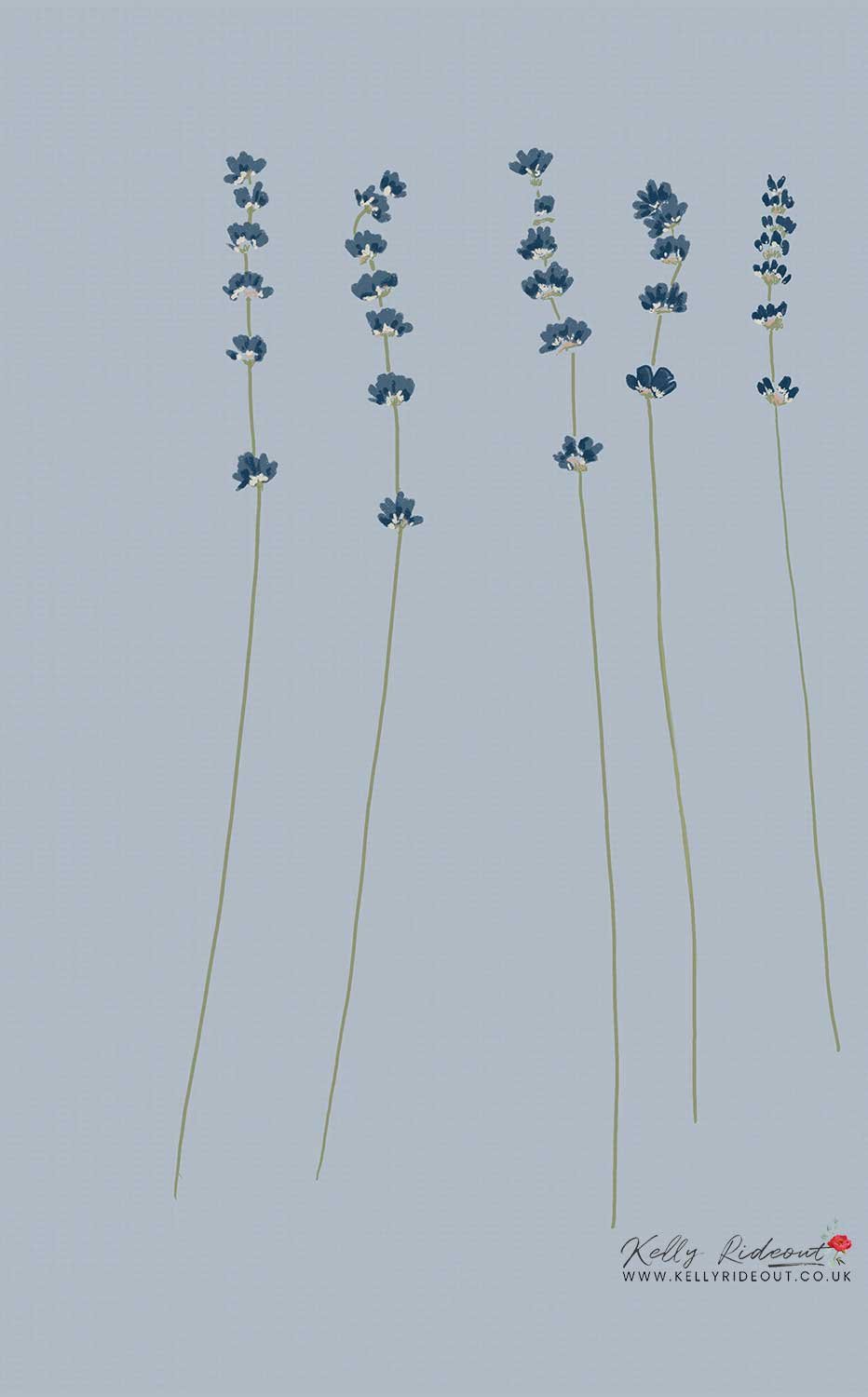Artistic illustration of five lavender sprigs on a pale gray background, with the artist's signature and website in the bottom right corner.
