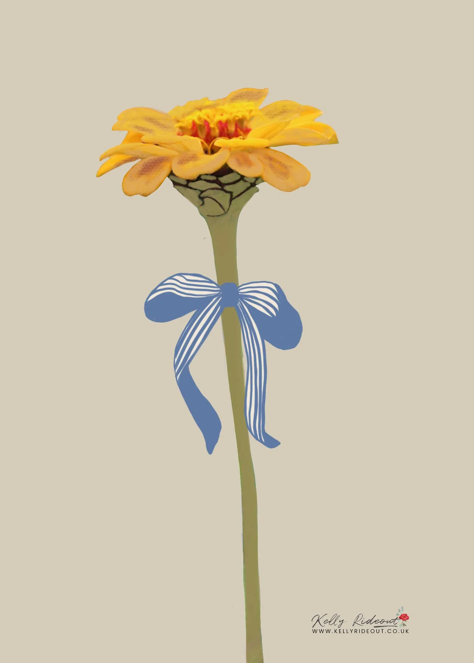 Zinnia_Yellow_hand-drawn-web.jpg
