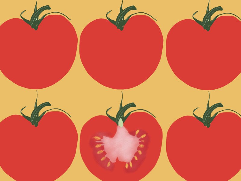 Tomato on Mustard Illustrated Cushion