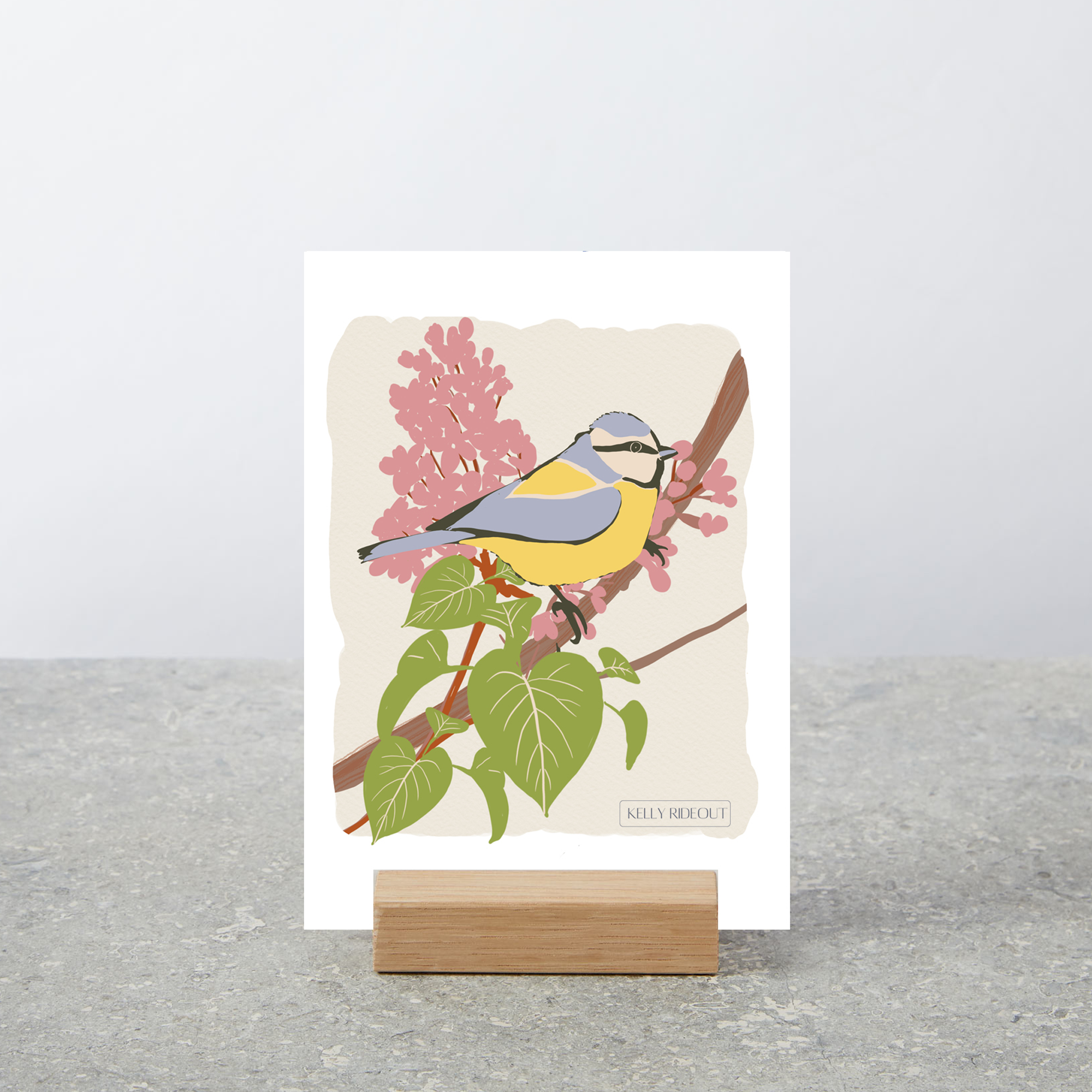 Blue-Tit-Bird-Spring-Art-Print-Home-Decoration-Gift-web.png