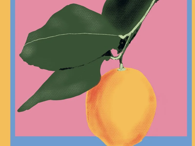 Hand drawn lemon and Orange Mug By Kelly Rideout