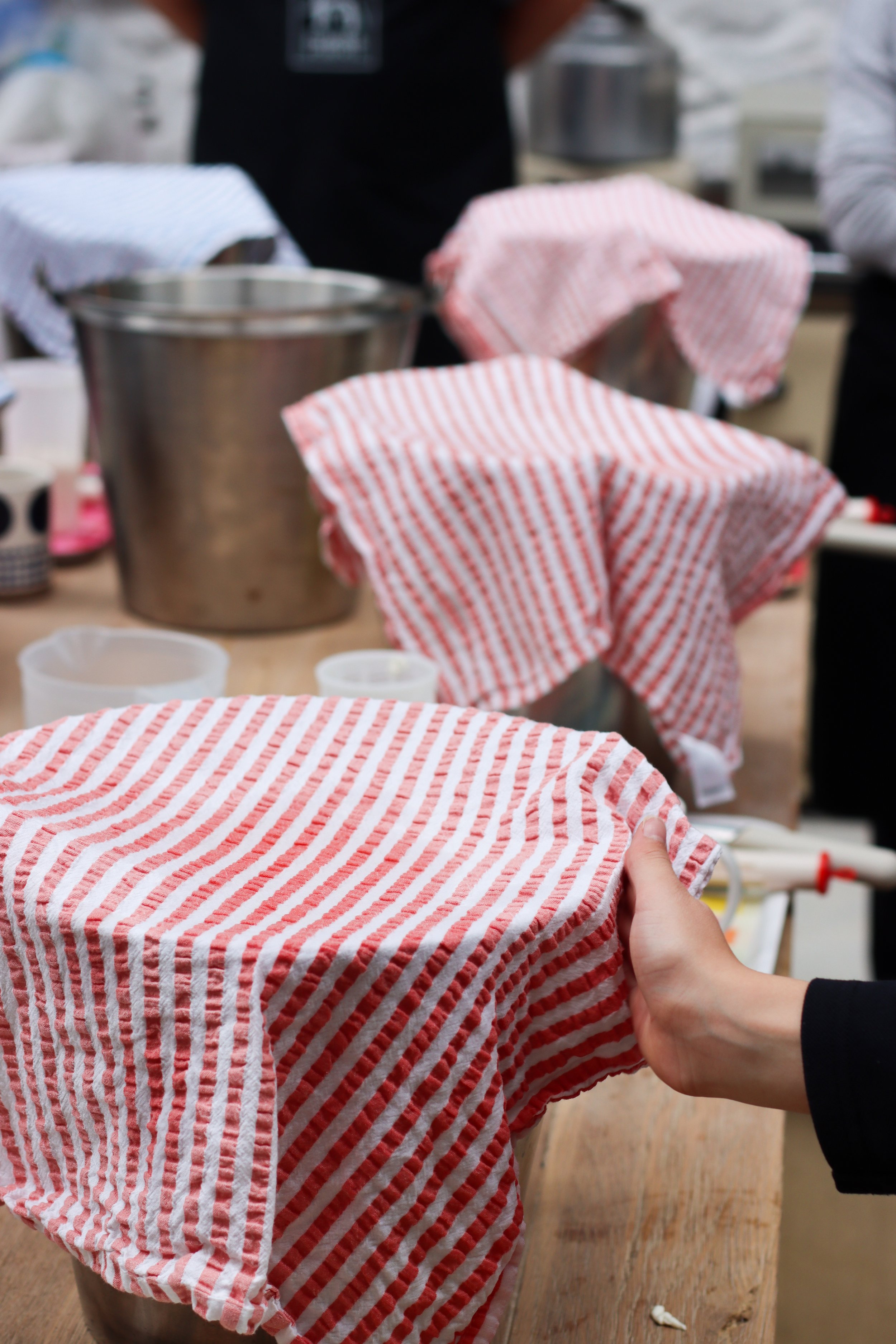 Towel Covered Buckets.jpg