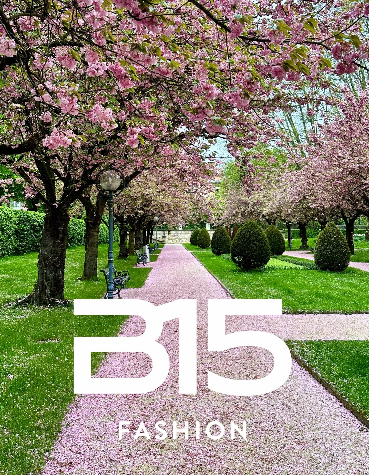 |
B 1 5  F A S H I O N 🖤🌸

Zwischen zarten Kirschbl&uuml;ten und den ersten warmen Sonnenstrahlen beginnt die sch&ouml;nste Zeit des Jahres.
Leichtigkeit trifft auf Stil &ndash; frische Farben, flie&szlig;ende Stoffe und ein Gef&uuml;hl von Neubegi