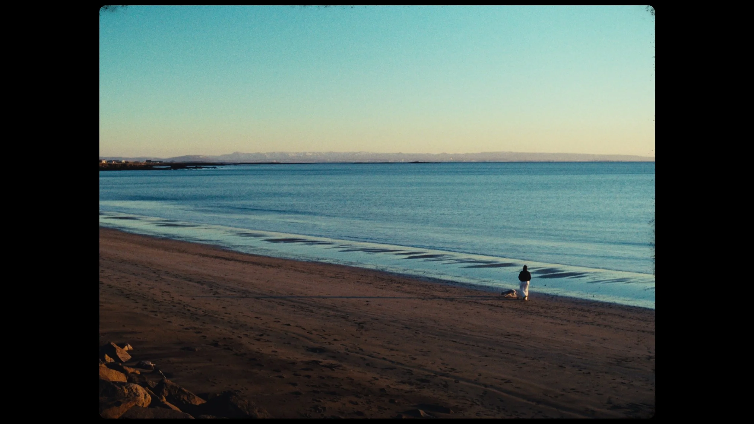 Still 2026-01-22 101915_1.14.5.jpg