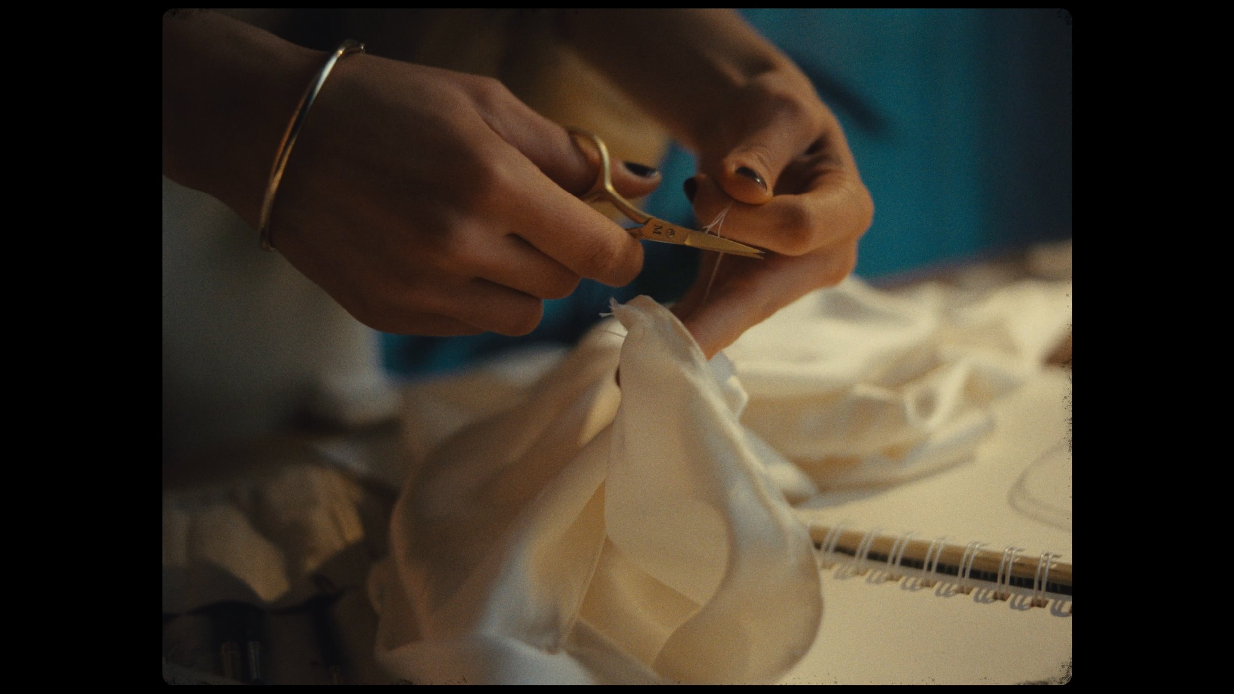 Still 2026-01-22 101915_1.10.2.jpg