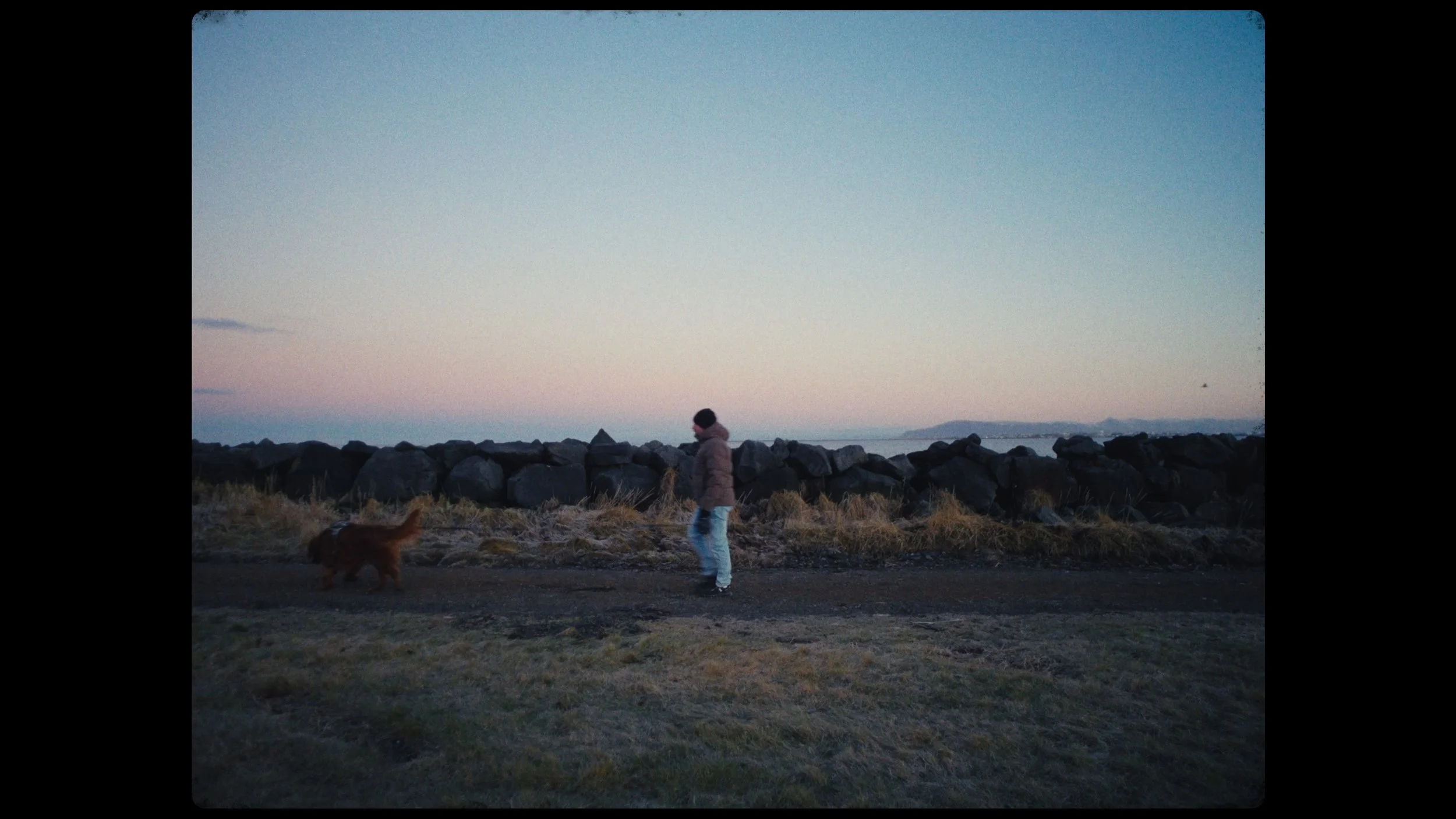 Still 2026-01-22 102402_1.11.1.jpg