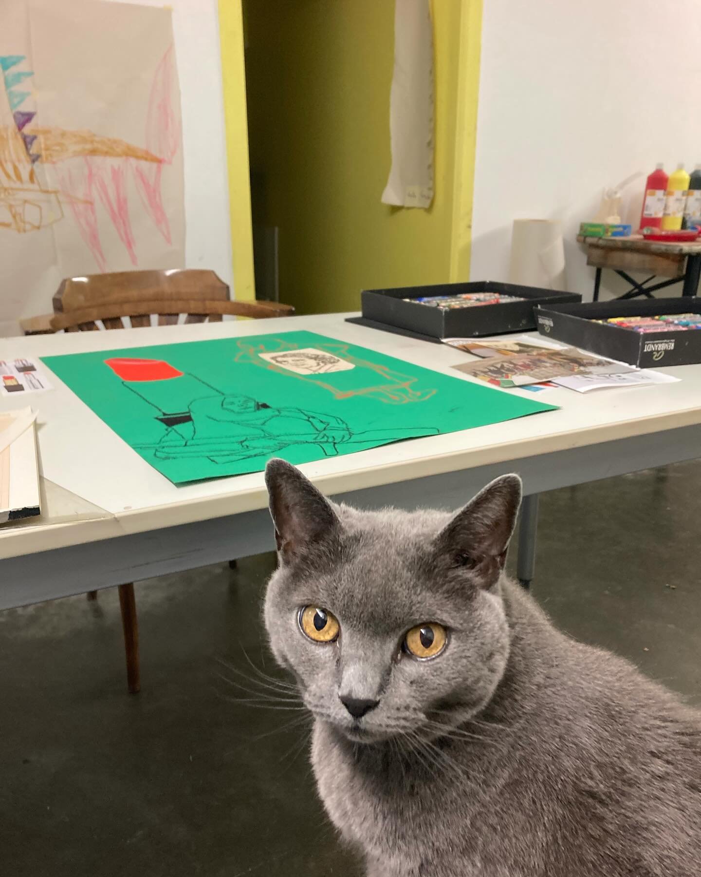 We geven nu ook creatieve workshops voor (U)HB huisdieren 🙃. Onder begeleiding van Yuki. Haar dominant karakter moet je er wel bijnemen 🐈&hellip;