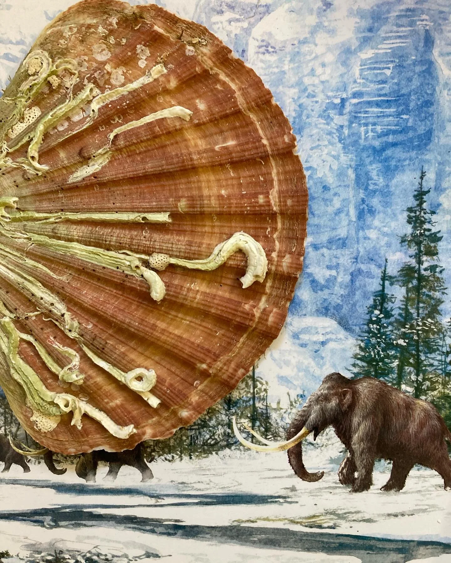 Workshop &lsquo;Feestelijke fossielen&rsquo;, op soffielen zoals &eacute;&eacute;n van de deelnemers het zo schattig zei. Zelf fossielen maken in klei - een Siberische baby mammoet leren kennen - dinotanden gemaakt - liedjes gezongen over een hamster