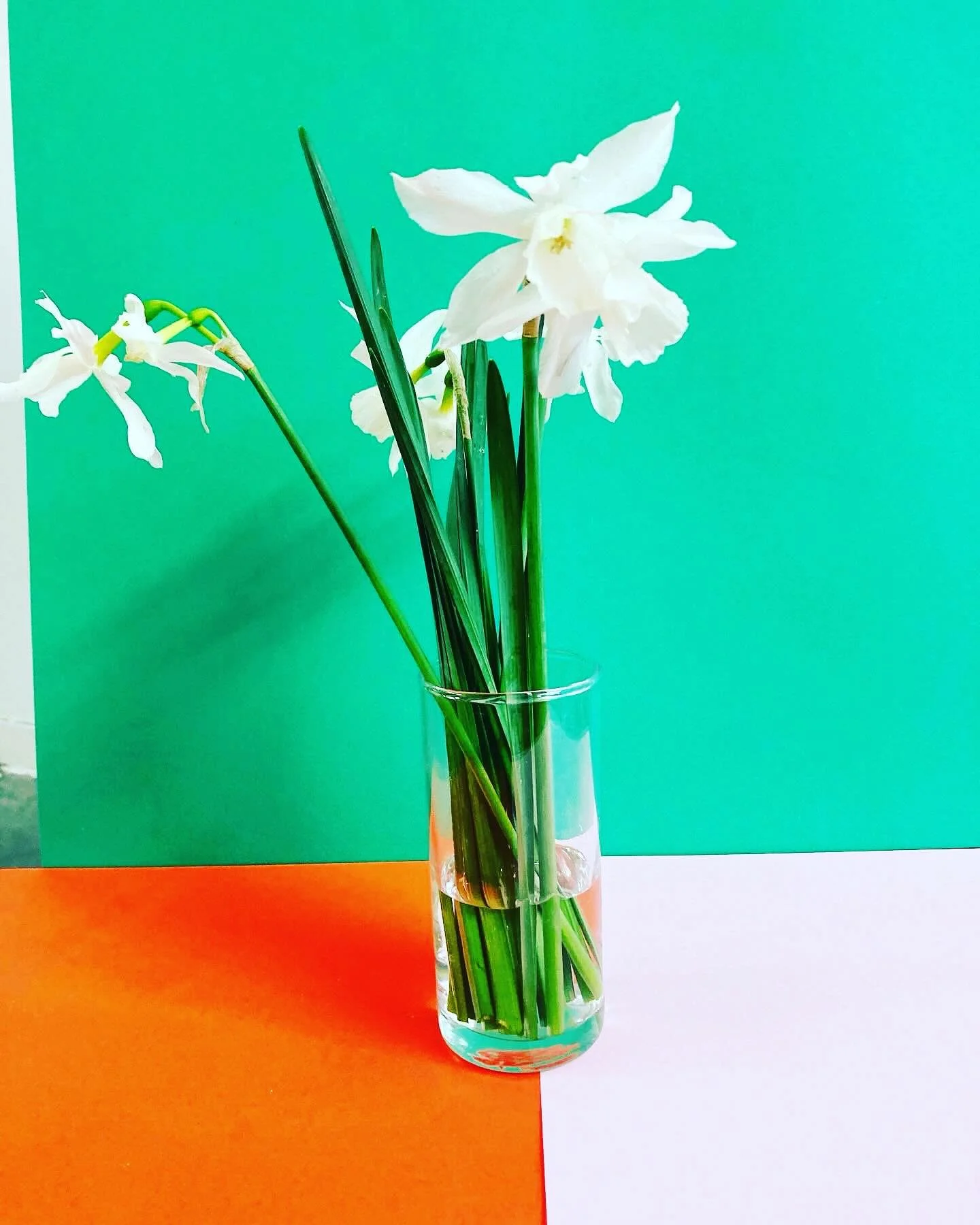 Ideetje voor thuis: Zet een glas met narcissen op tafel, leg er papier en wasco&rsquo;s/kleurpotloden/waterverf bij en zie wat er gebeurt! Wie van de kids laat zich spontaan verleiden om te cre&euml;ren? Je kan nog een stap verder gaan en hen laten o