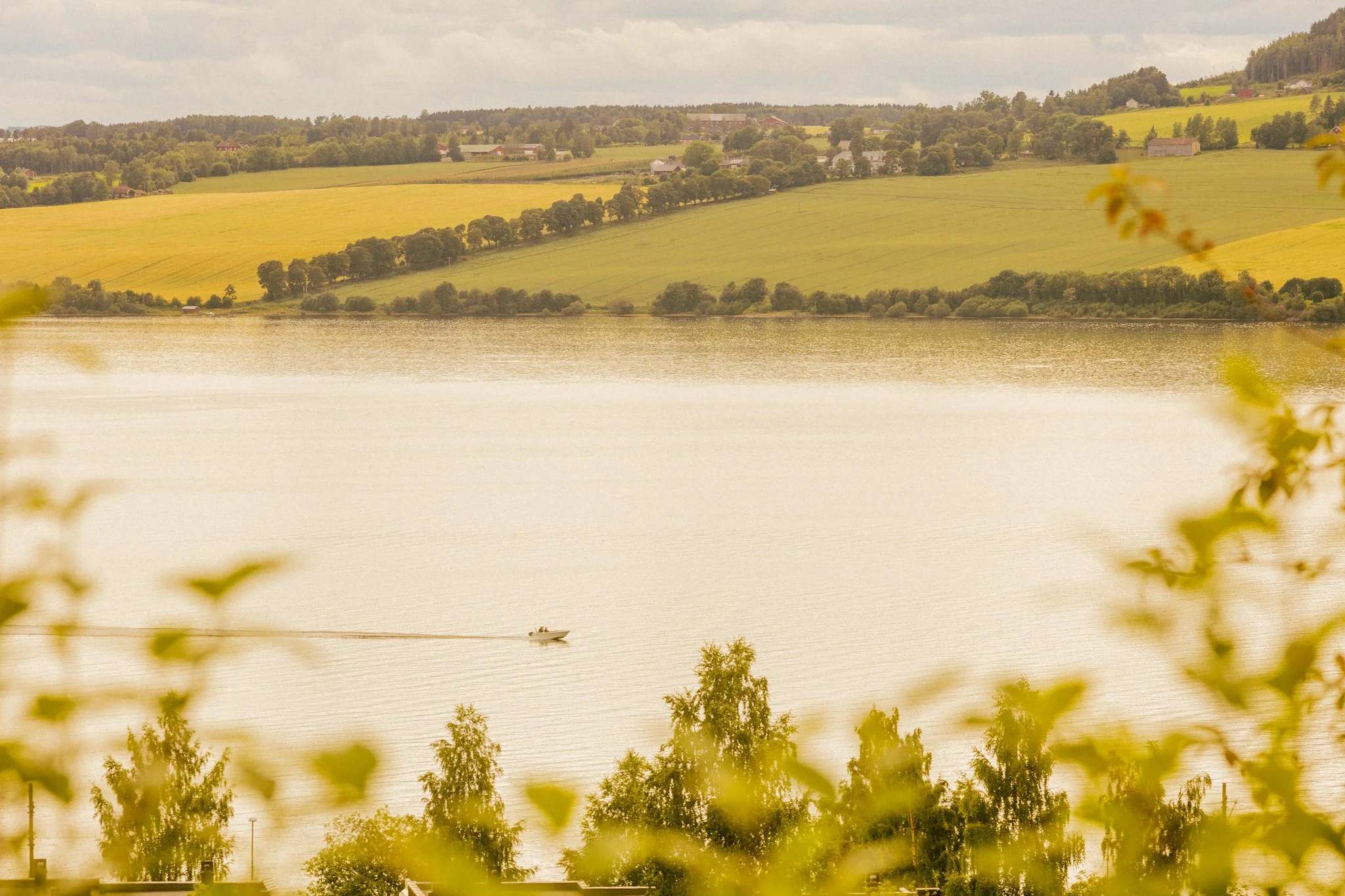 HamarKommune lowres-31.jpg