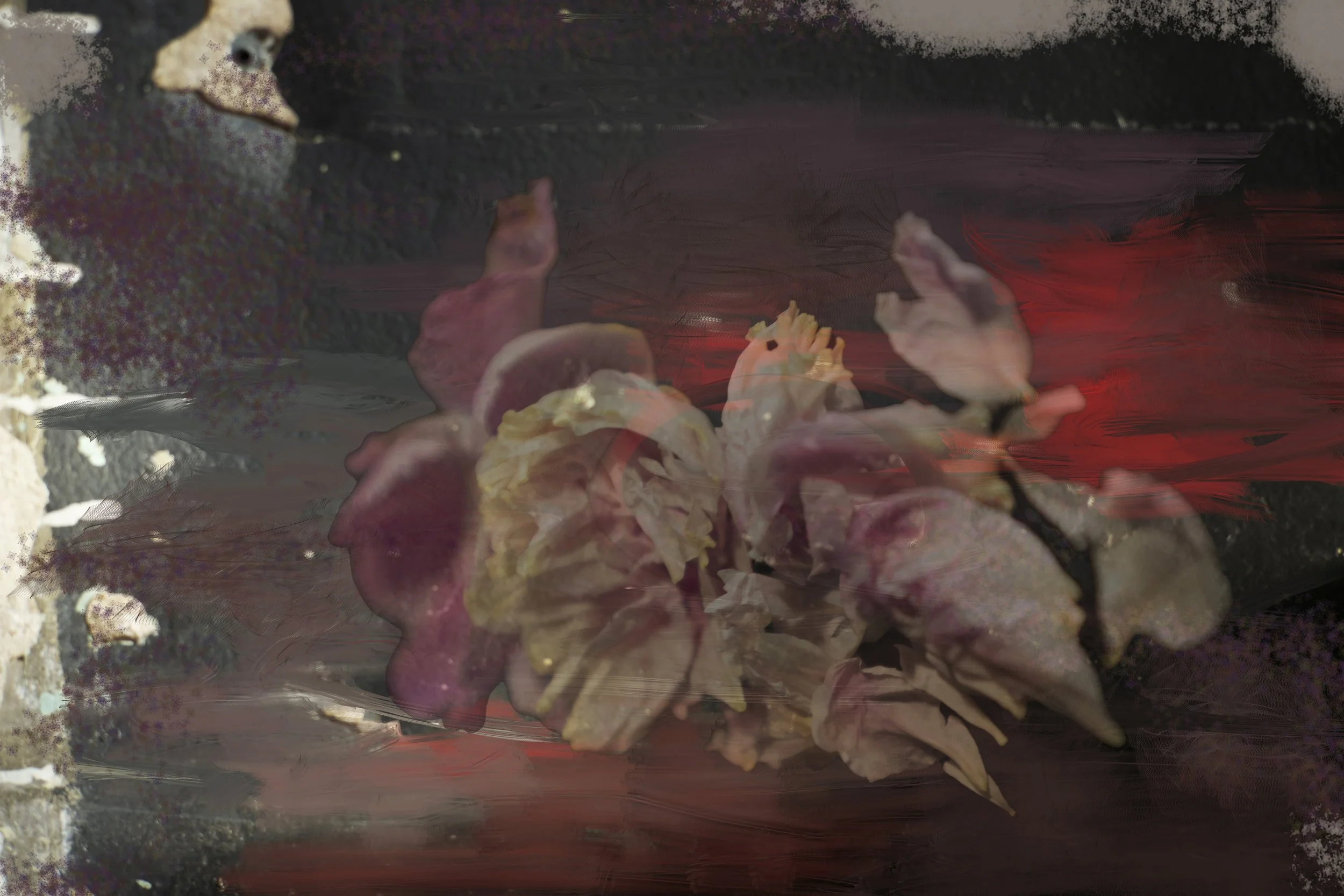 L1008844_Nova_40X60 copie.jpg