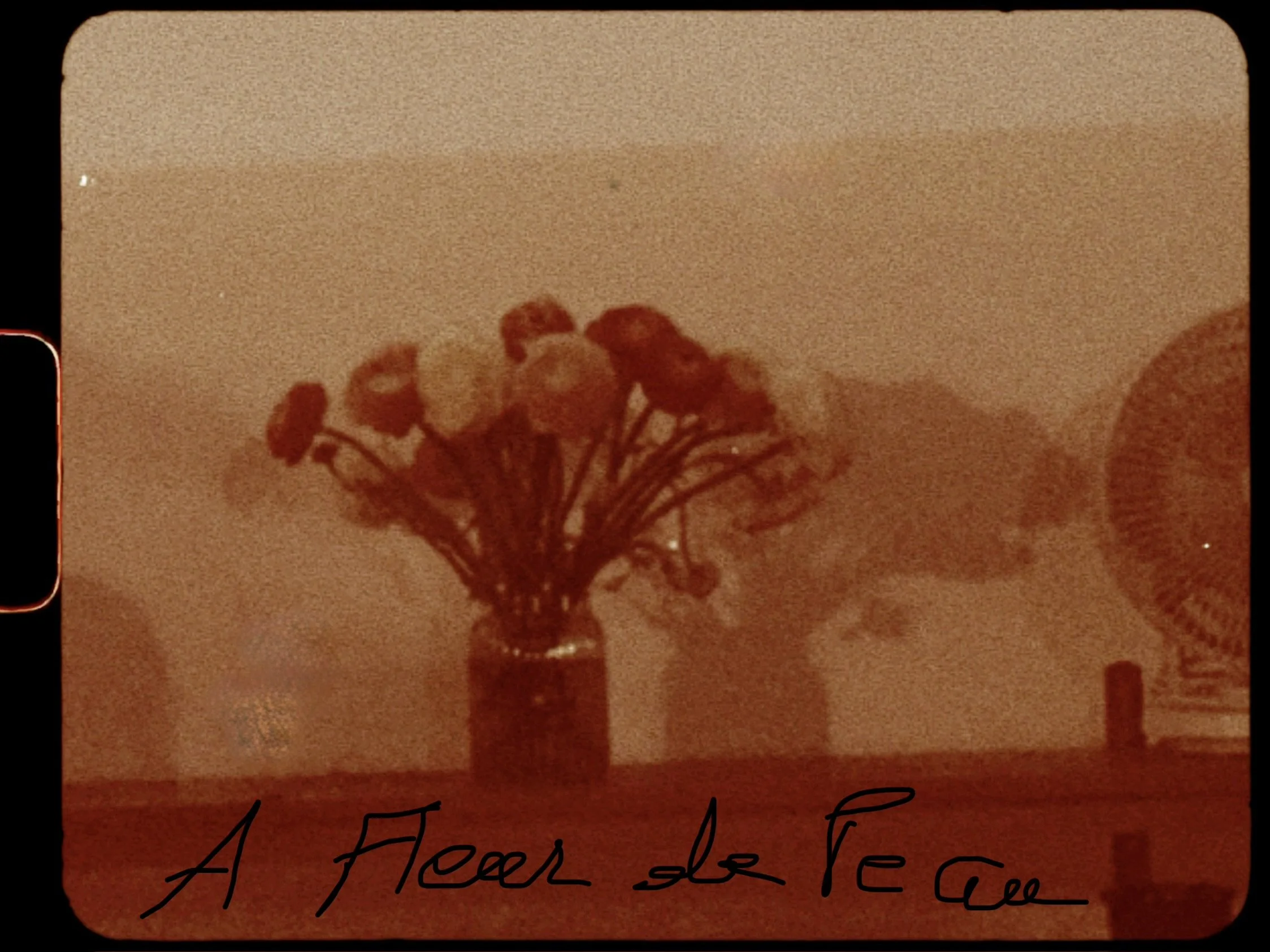 À fleur de peau