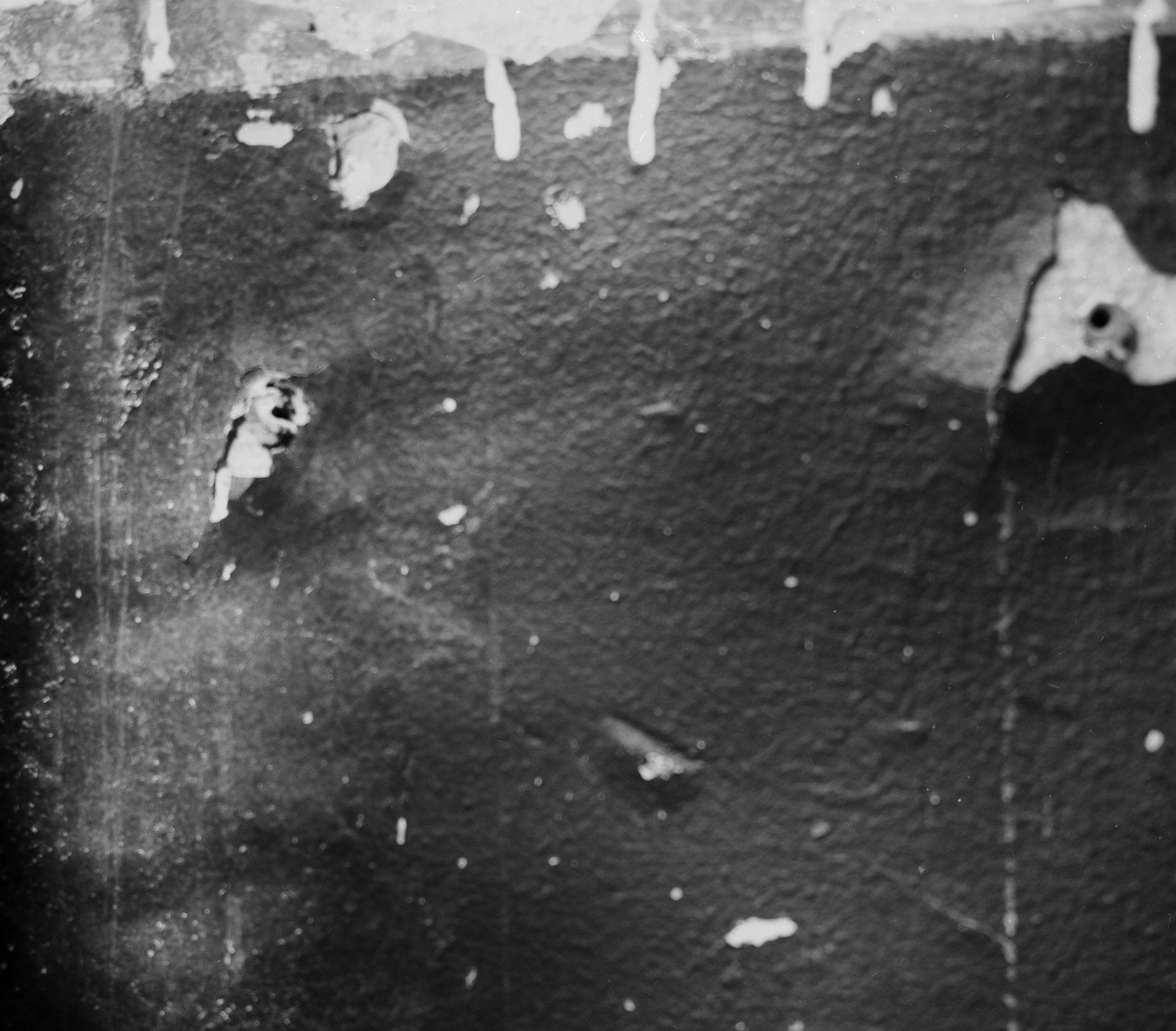 L1008844 copie.jpg