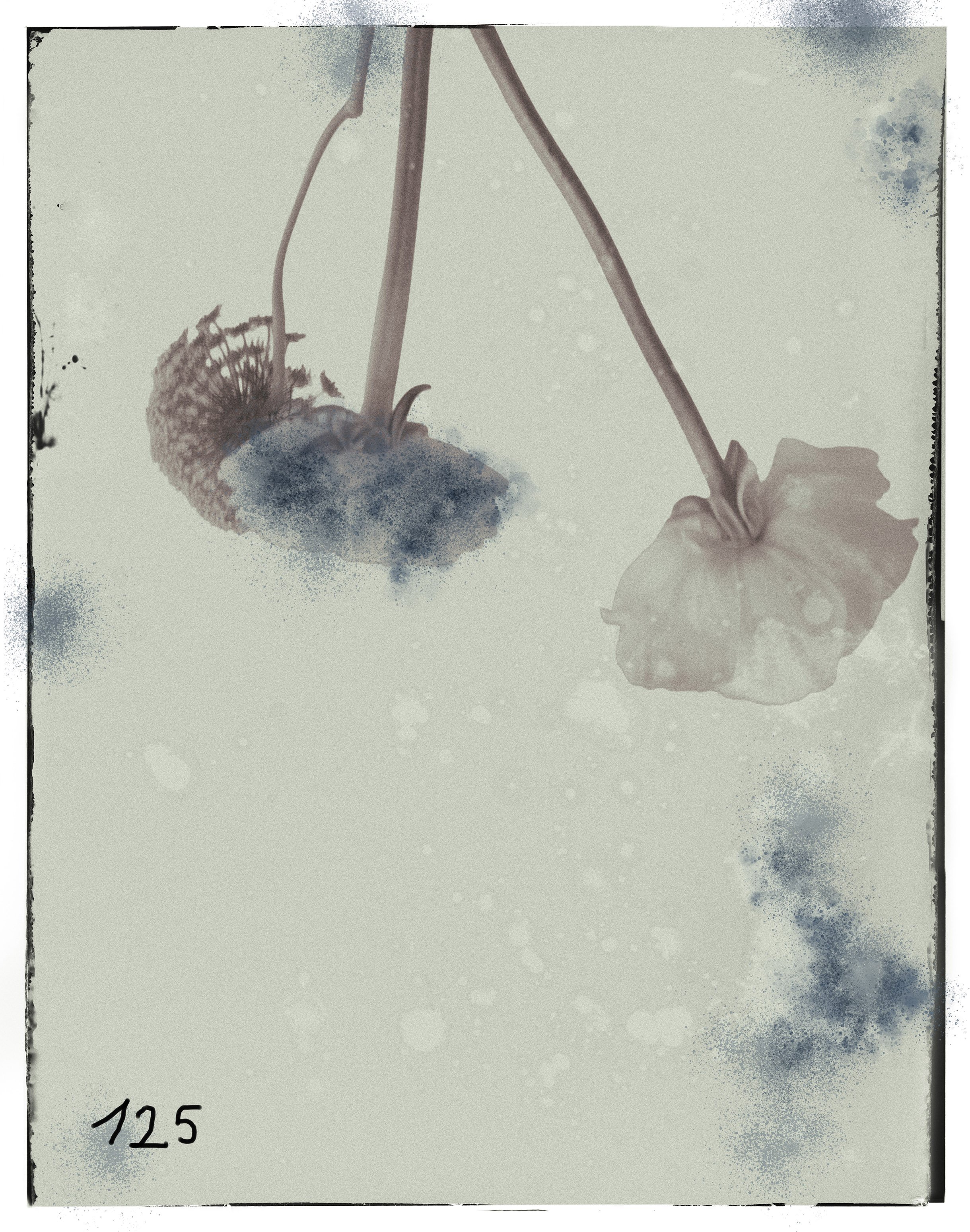 366149DA-BB12-4CA2-8205-E057D4A09A37.jpeg