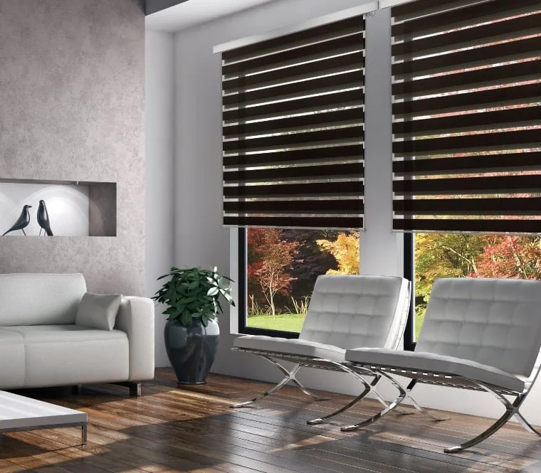 Qmotion blinds