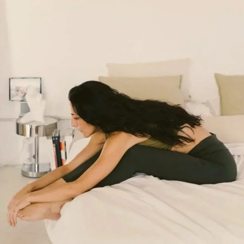 243A5337.jpg