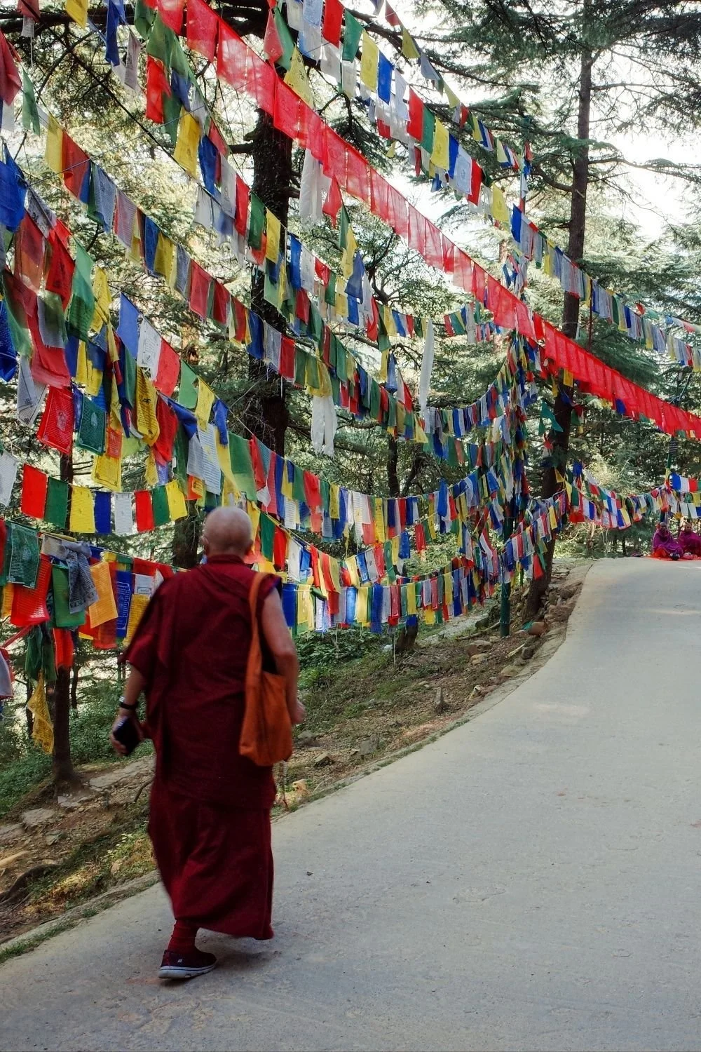 dharamsala.jpeg