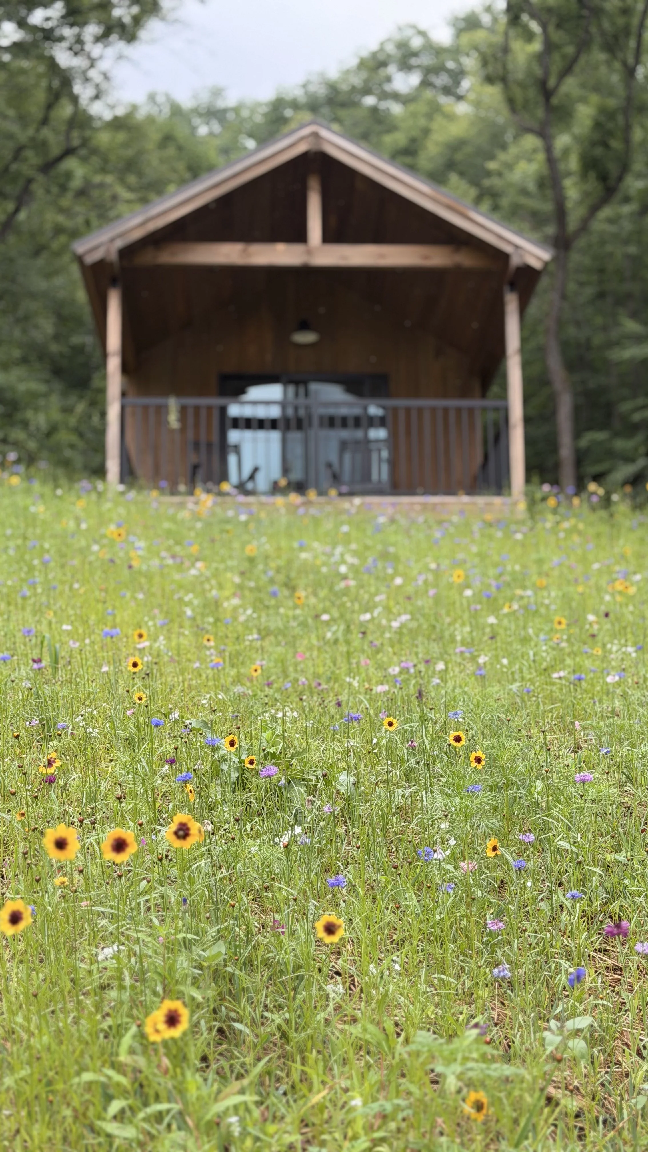 Airbnb Cabin in a Meadow of Wildflowers in Virginia