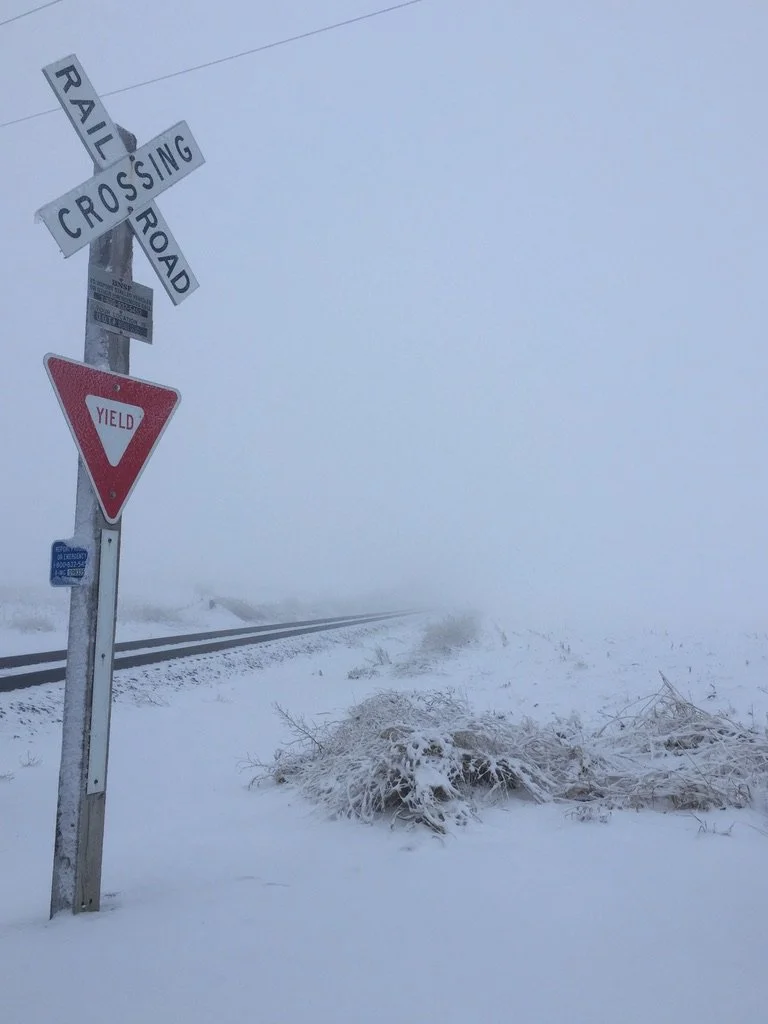 Into the Fog