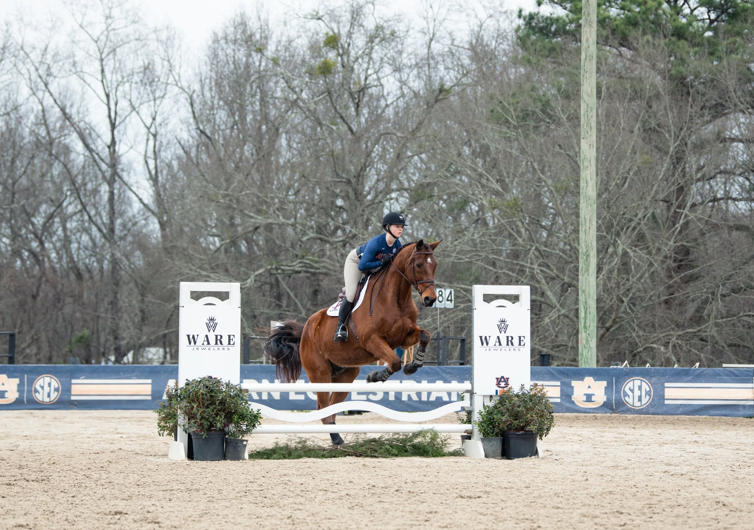 20240216_equestrian vs dartmouth- LL-5746.JPG