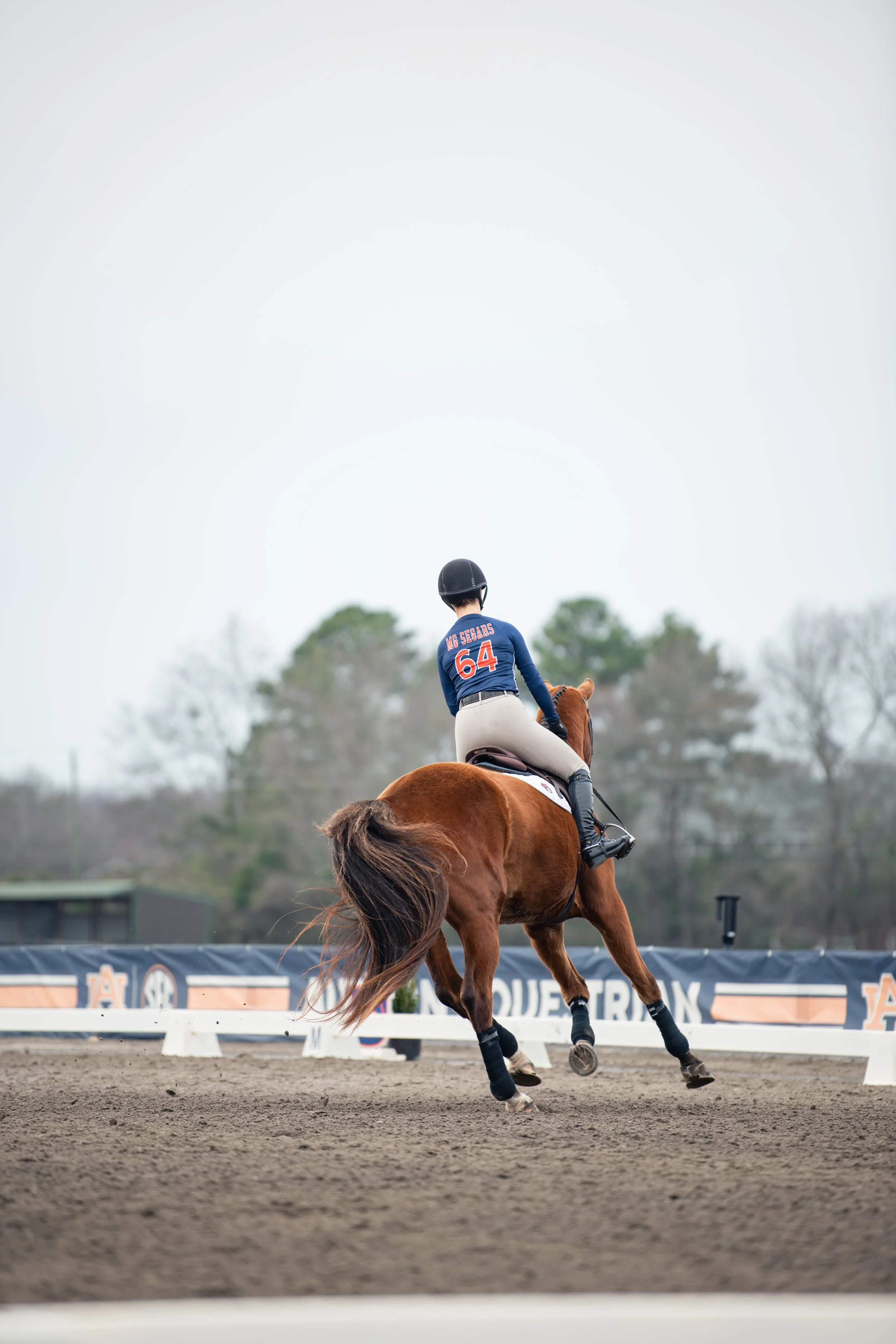 20240216_equestrian vs dartmouth- LL-5564.JPG