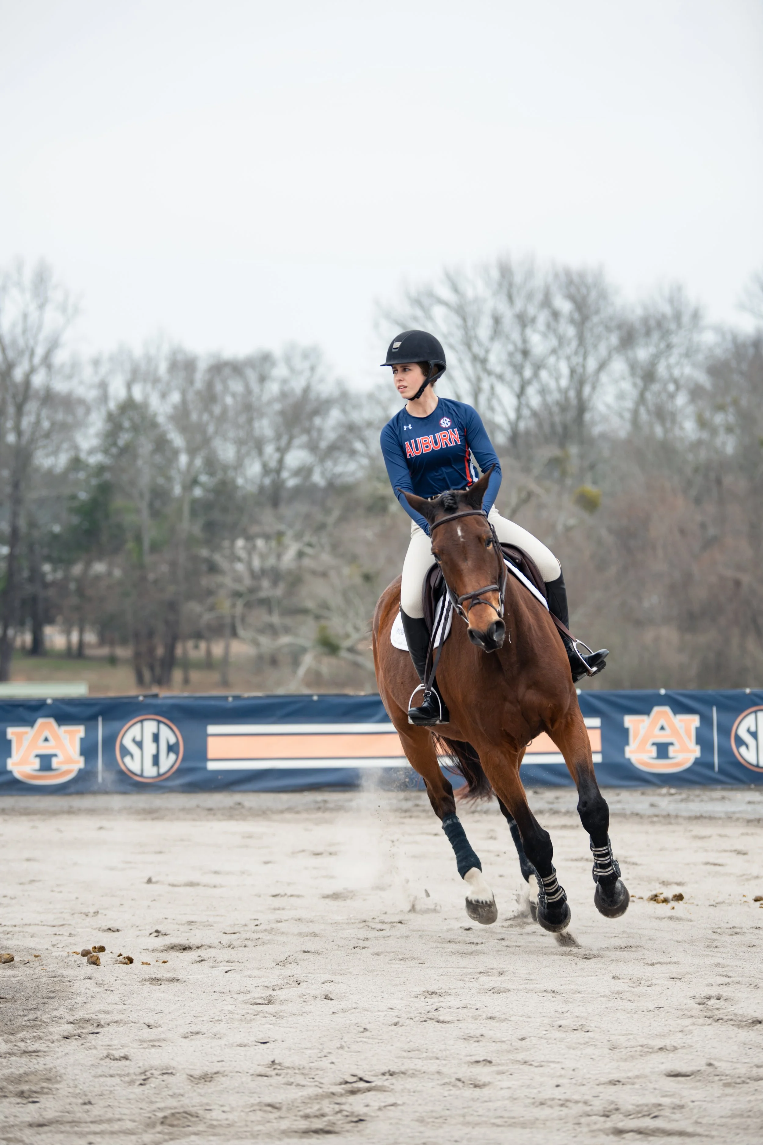 20240216_equestrian vs dartmouth- LL-5411.JPG