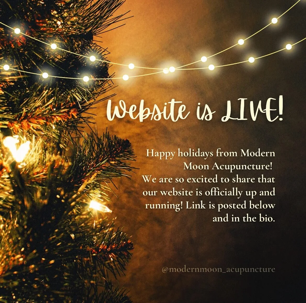 Merry Christmas and Happy Holidays to everyone of you! 🎄❄️✨

🎉🎉🎉 It's quite the day for Modern Moon! I am in awe over all the steps needed to bring my dream into a reality, but here it is officially.... my website! 

www.modernmoonacupuncture.com