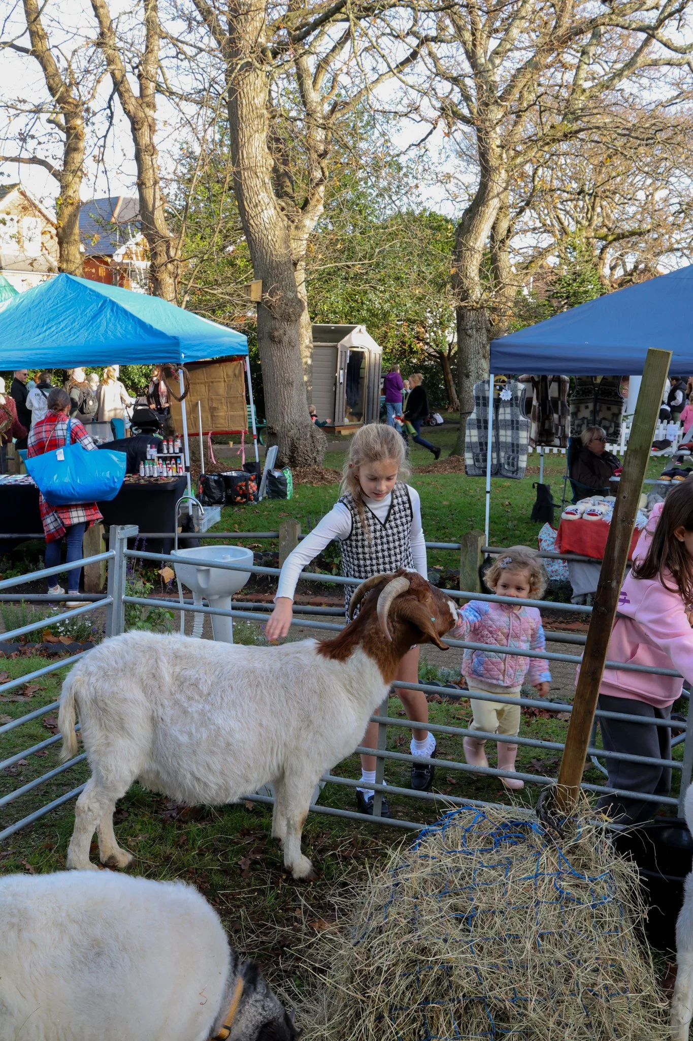 Christmas on the Green 25-16.jpg