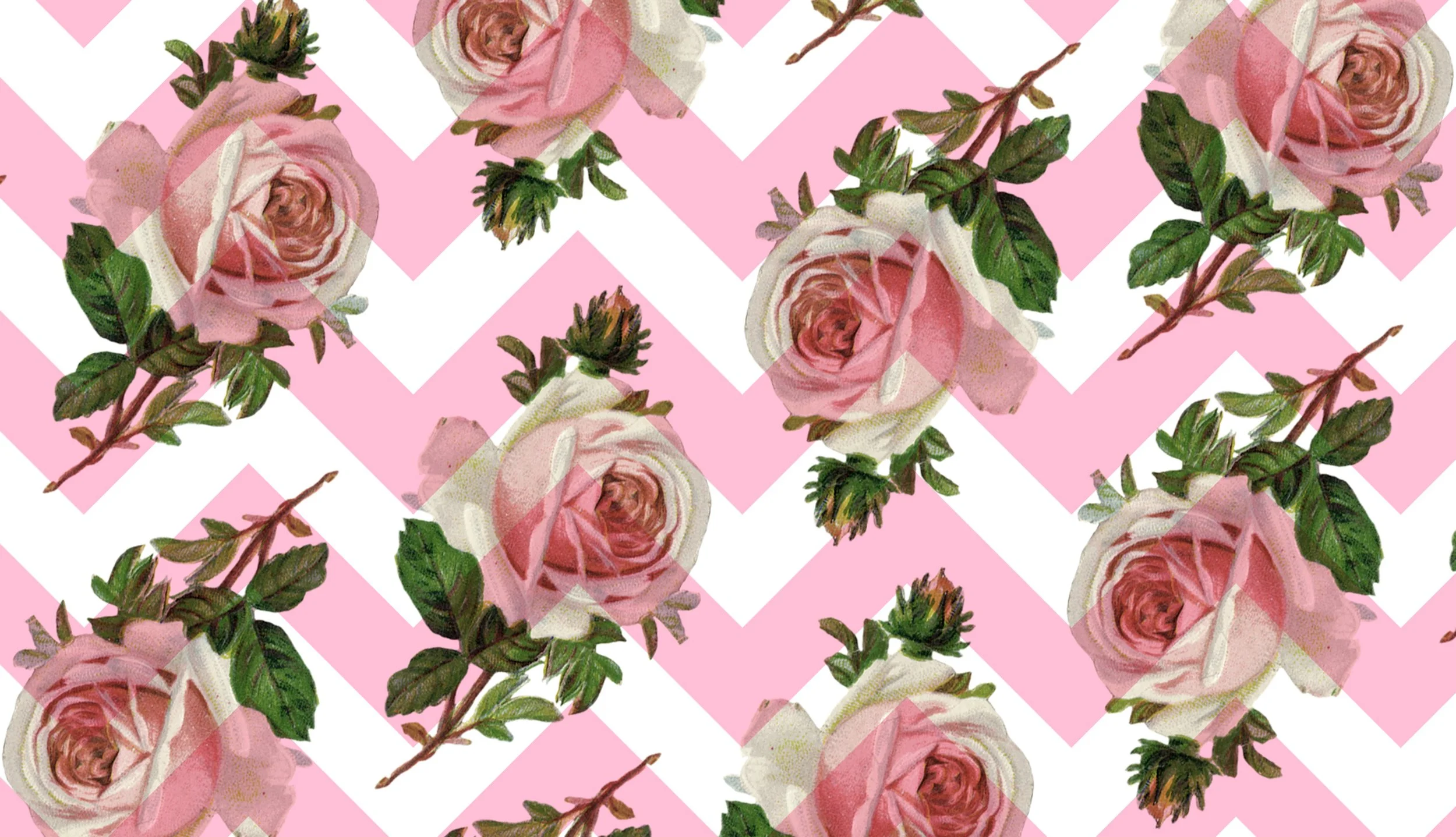 pattern_plain.jpg
